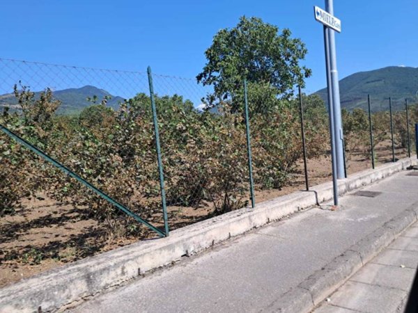 terreno agricolo in vendita a Baiano
