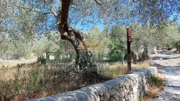 terreno agricolo in vendita a Baiano