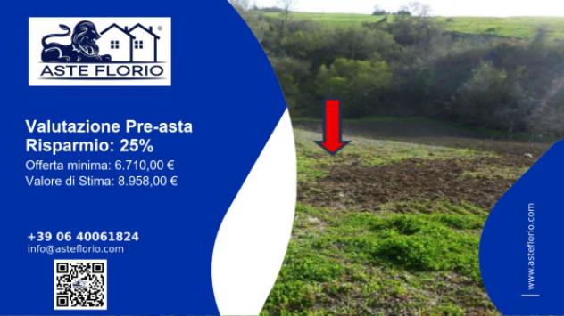 terreno agricolo in vendita a Bisaccia