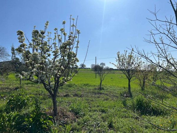 casa indipendente in vendita a Bonito