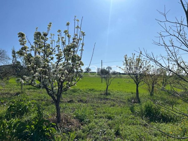 casa indipendente in vendita a Bonito