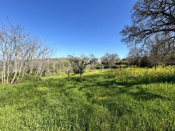 terreno agricolo in vendita a Bonito