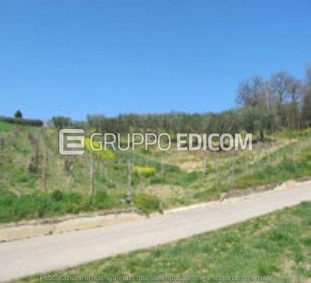 terreno agricolo in vendita a Bonito