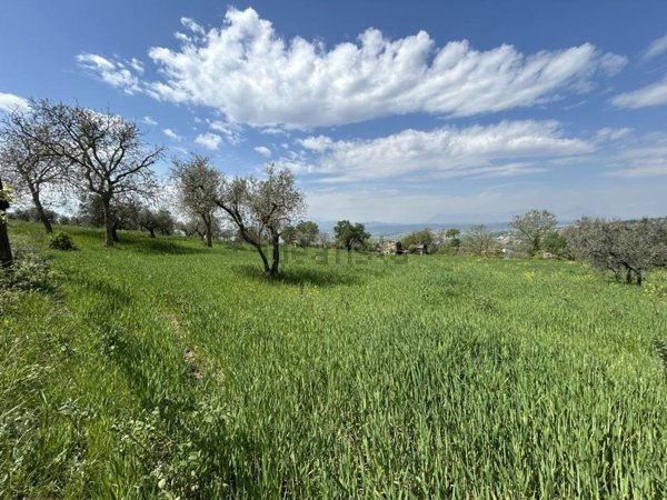 terreno agricolo in vendita a Bonito