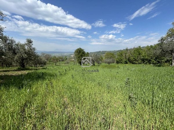 terreno agricolo in vendita a Bonito