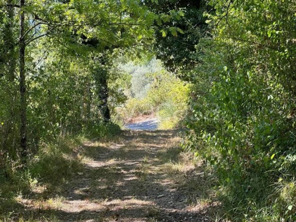 terreno agricolo in vendita a Caposele