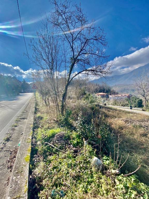 terreno agricolo in vendita a Capriglia Irpina