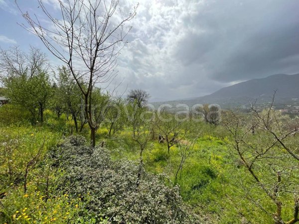 terreno agricolo in vendita a Capriglia Irpina