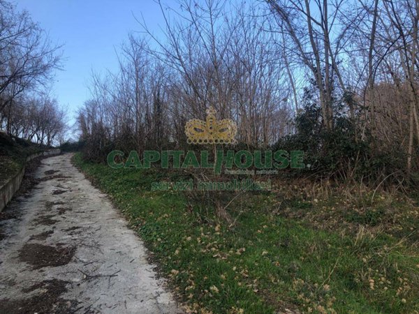 terreno agricolo in vendita a Capriglia Irpina
