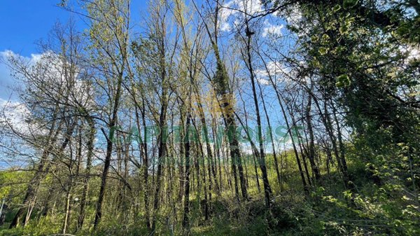 terreno agricolo in vendita a Capriglia Irpina in zona Pozzo del Sale