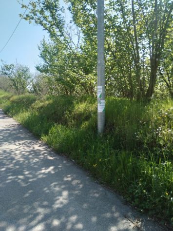 terreno agricolo in vendita a Capriglia Irpina in zona San Felice