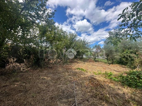 terreno agricolo in vendita a Capriglia Irpina
