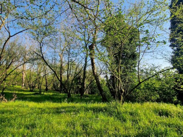 terreno agricolo in vendita a Capriglia Irpina