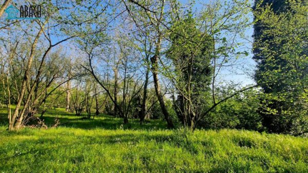 terreno agricolo in vendita a Capriglia Irpina
