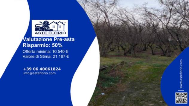 terreno agricolo in vendita a Capriglia Irpina in zona Pozzo del Sale