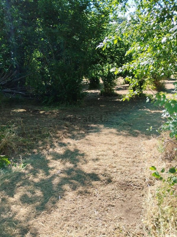 terreno agricolo in vendita a Capriglia Irpina