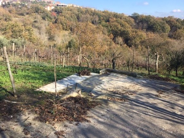terreno agricolo in vendita a Capriglia Irpina