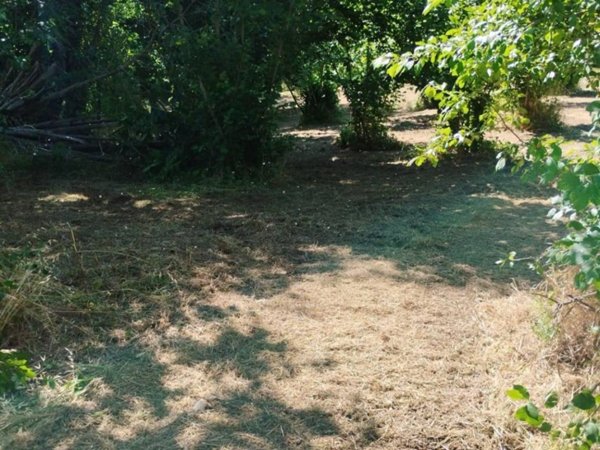 terreno agricolo in vendita a Capriglia Irpina