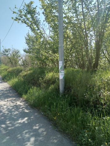terreno agricolo in vendita a Capriglia Irpina in zona San Felice