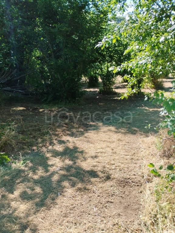 terreno agricolo in vendita a Capriglia Irpina in zona San Felice