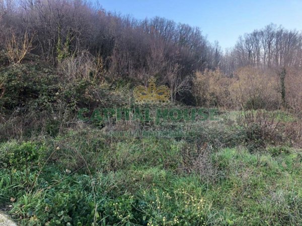 terreno agricolo in vendita a Capriglia Irpina in zona Marzano