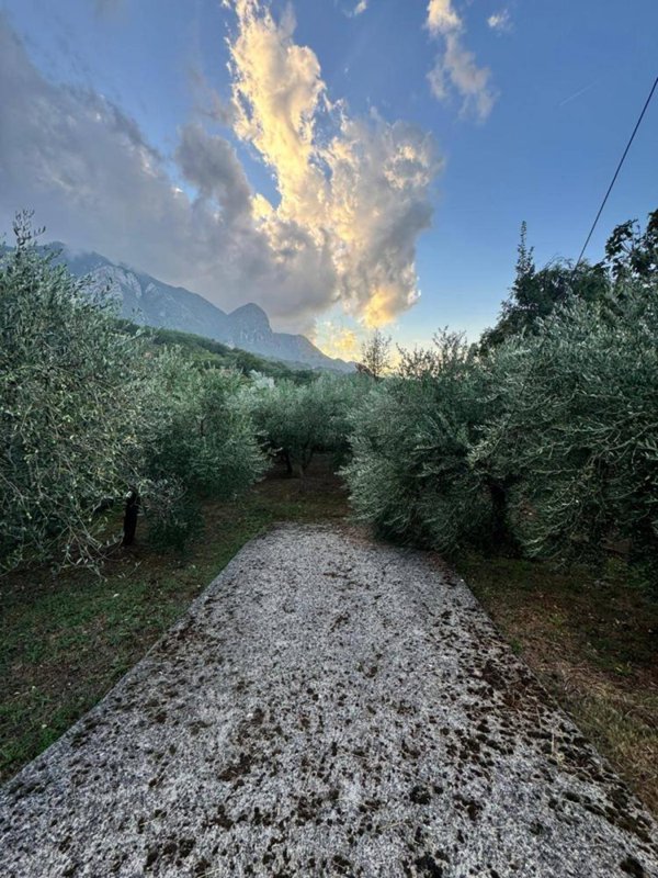 terreno agricolo in vendita a Capriglia Irpina