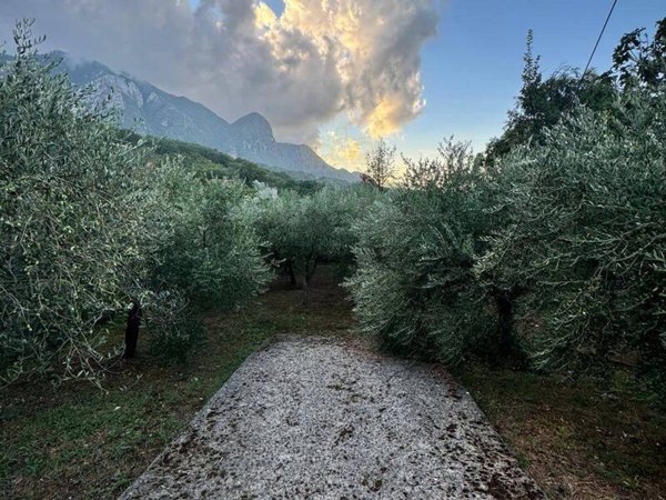 terreno agricolo in vendita a Capriglia Irpina