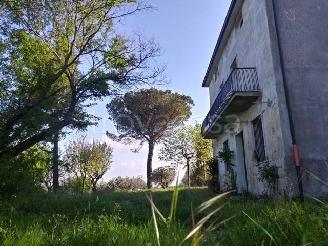casa indipendente in vendita a Casalbore