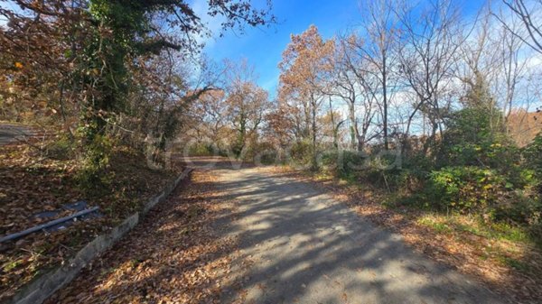 terreno agricolo in vendita a Castelvetere sul Calore in zona Cipollara