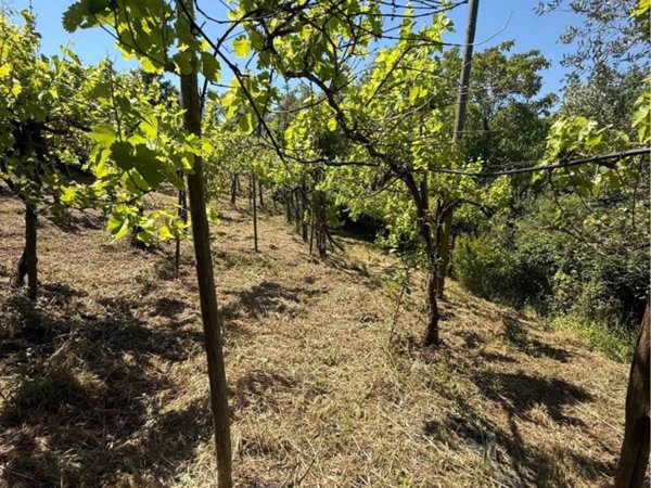 casa indipendente in vendita a Castelvetere sul Calore