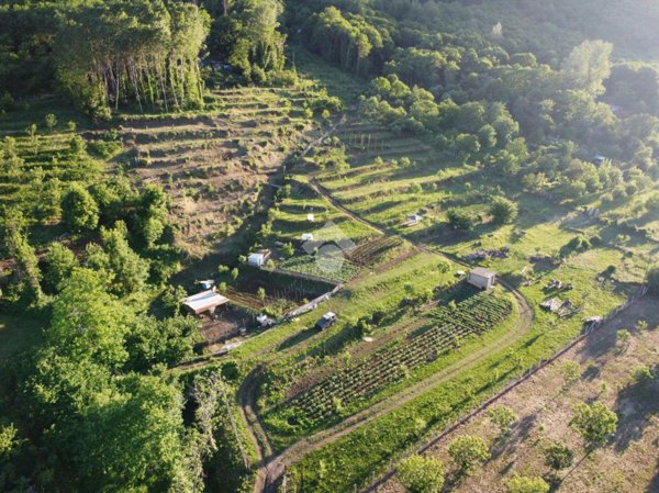terreno agricolo in vendita a Cervinara in zona Valle