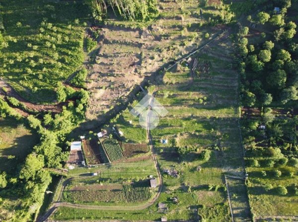 terreno agricolo in vendita a Cervinara in zona Curielli