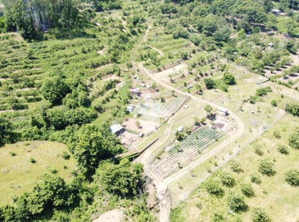 terreno agricolo in vendita a Cervinara in zona Curielli