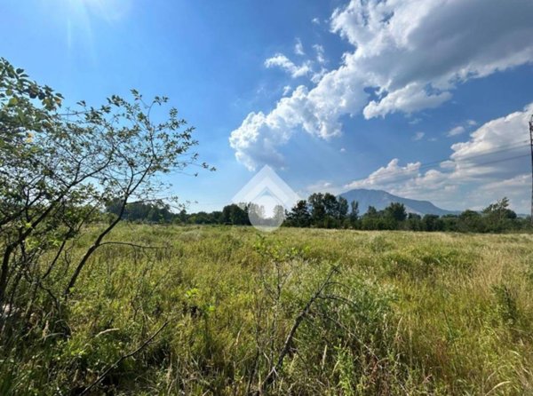 terreno agricolo in vendita a Cervinara