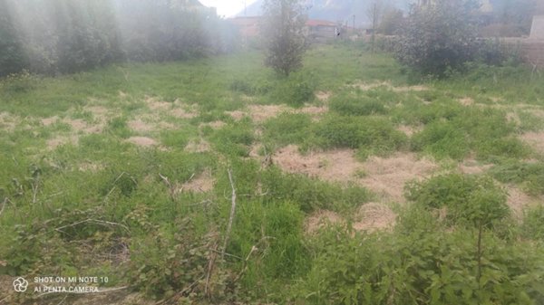 terreno agricolo in vendita a Cervinara