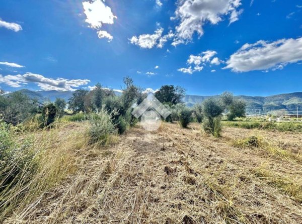 terreno agricolo in vendita a Cervinara
