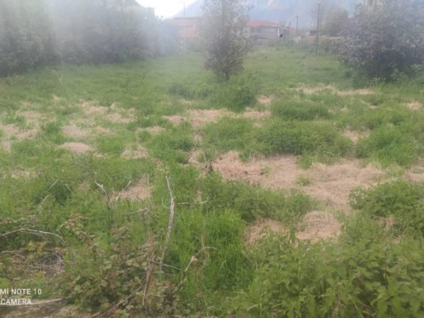 terreno agricolo in vendita a Cervinara in zona Salomoni
