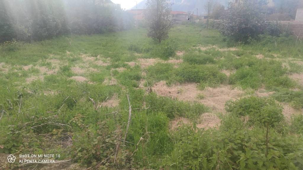 terreno agricolo in vendita a Cervinara in zona Salomoni