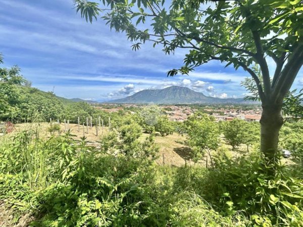terreno agricolo in vendita a Cervinara in zona Valle