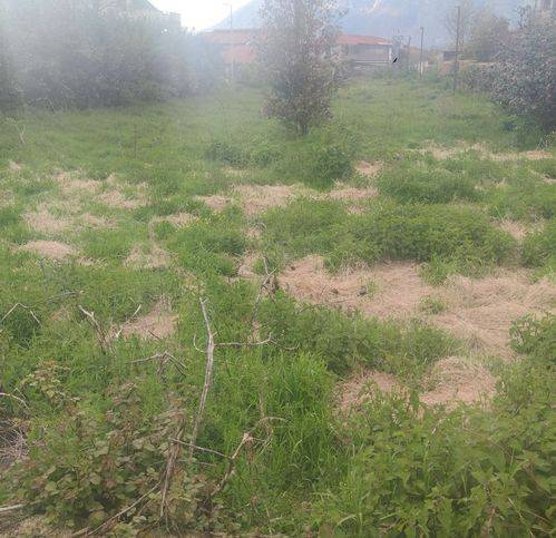 terreno agricolo in vendita a Cervinara in zona Trescine