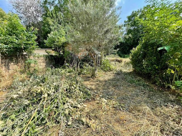 immagine annuncio 0 di 1