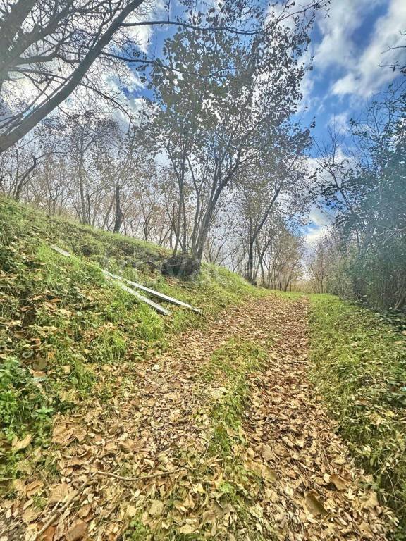 terreno agricolo in vendita a Cesinali