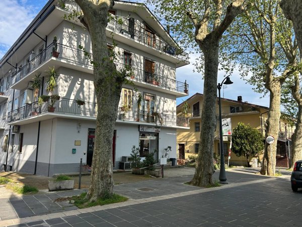 appartamento in vendita a Cesinali