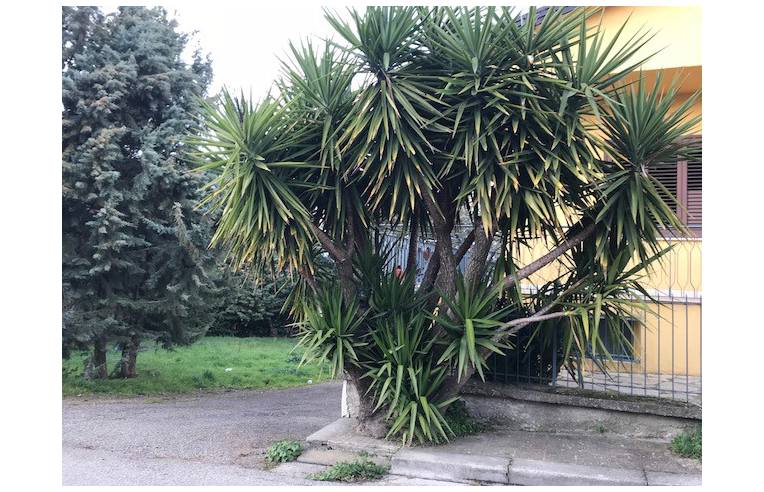 casa indipendente in vendita a Chianche