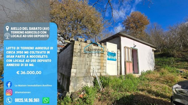 terreno agricolo in vendita a Contrada