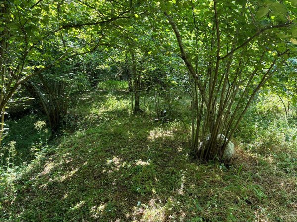 terreno agricolo in vendita a Contrada