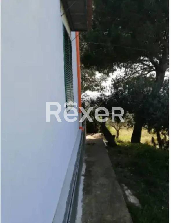 casa indipendente in vendita a Contrada