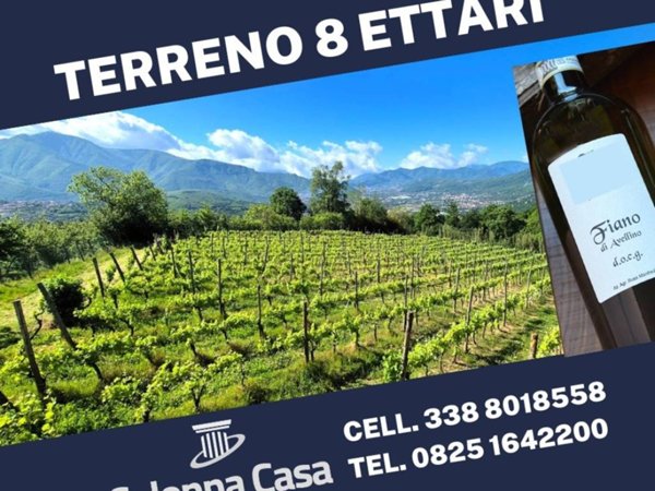 casa indipendente in vendita a Contrada