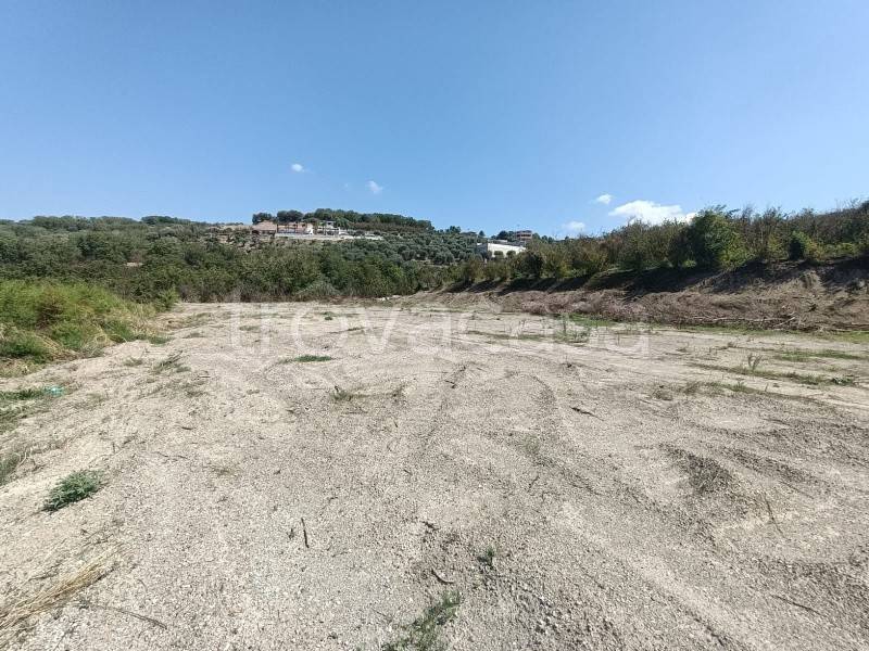 terreno agricolo in vendita a Domicella