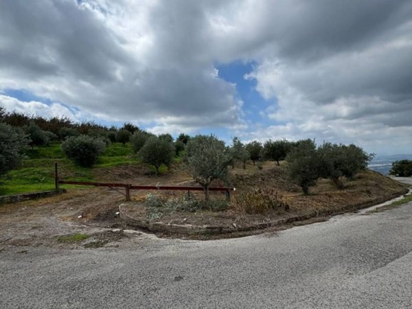 terreno agricolo in vendita a Domicella